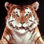 N_smile